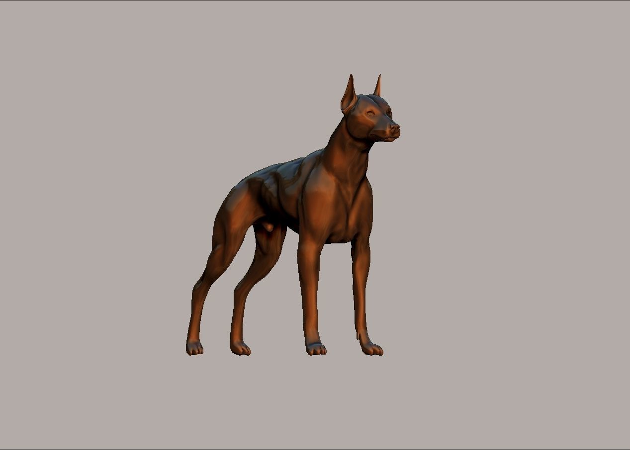 semi muscular doberman pinscher dog model 3D print model_14