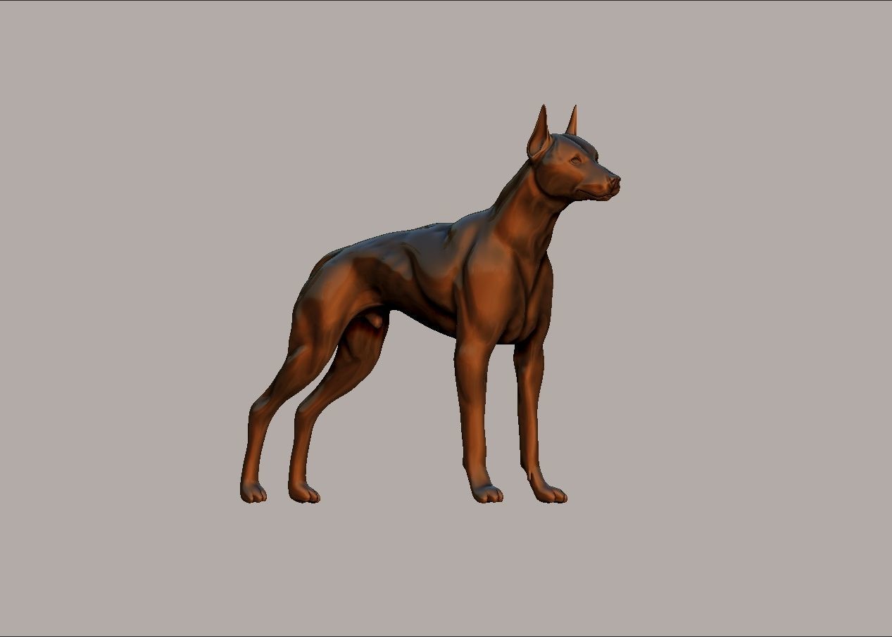 semi muscular doberman pinscher dog model 3D print model_13