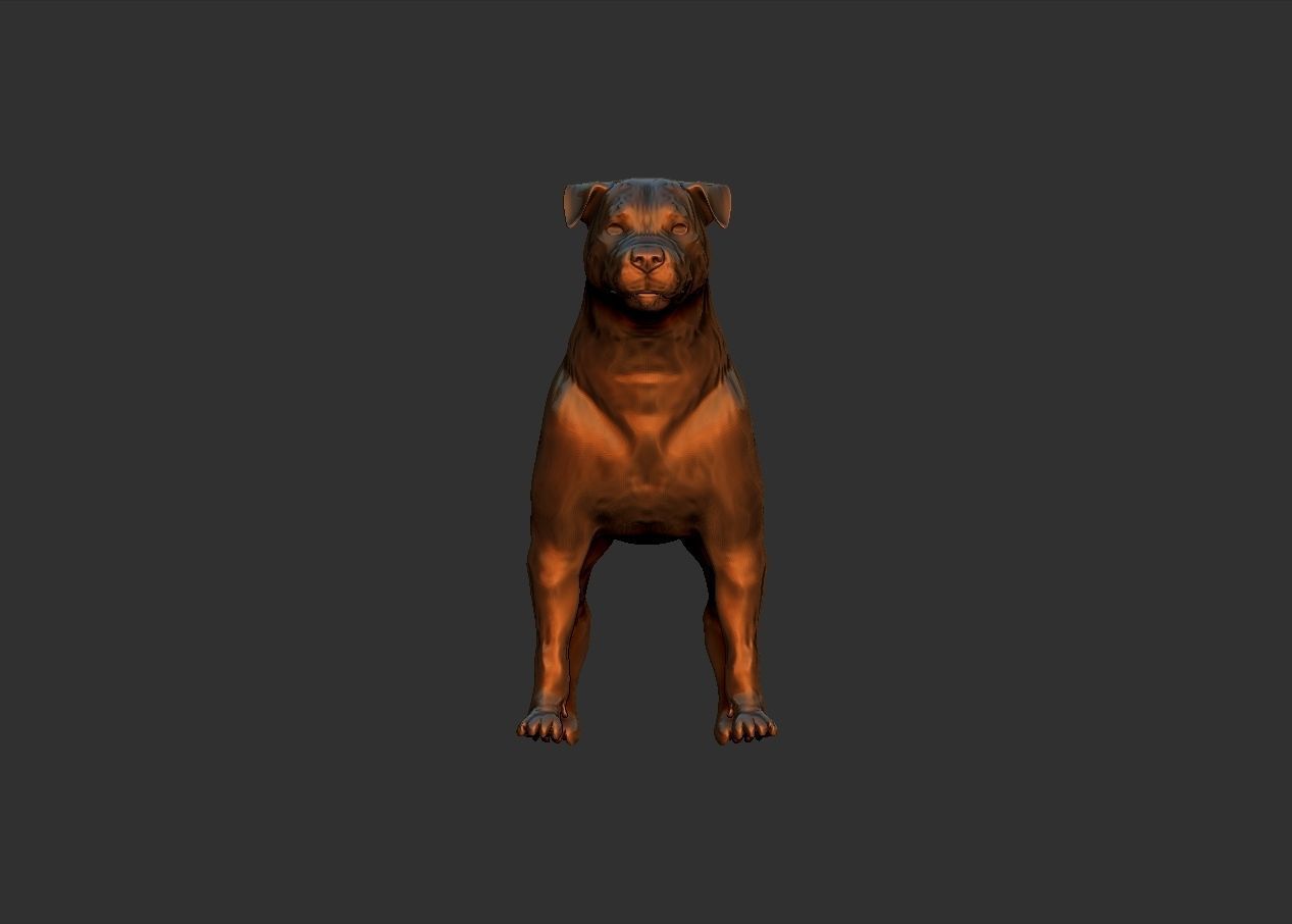 simple adult rottweiler dog model 3D print model_4
