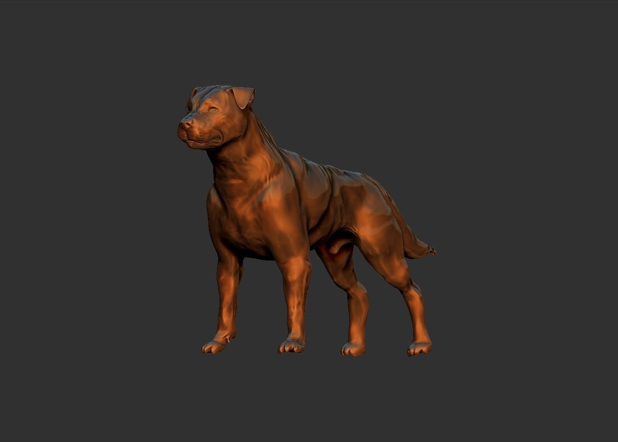 simple adult rottweiler dog model 3D print model_7