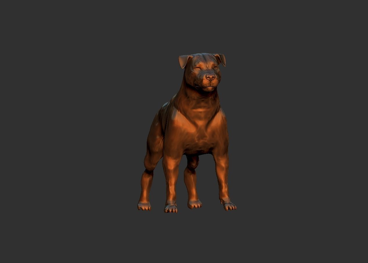 simple adult rottweiler dog model 3D print model_3