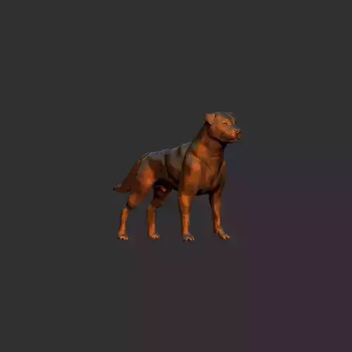 simple adult rottweiler dog model 3D print model