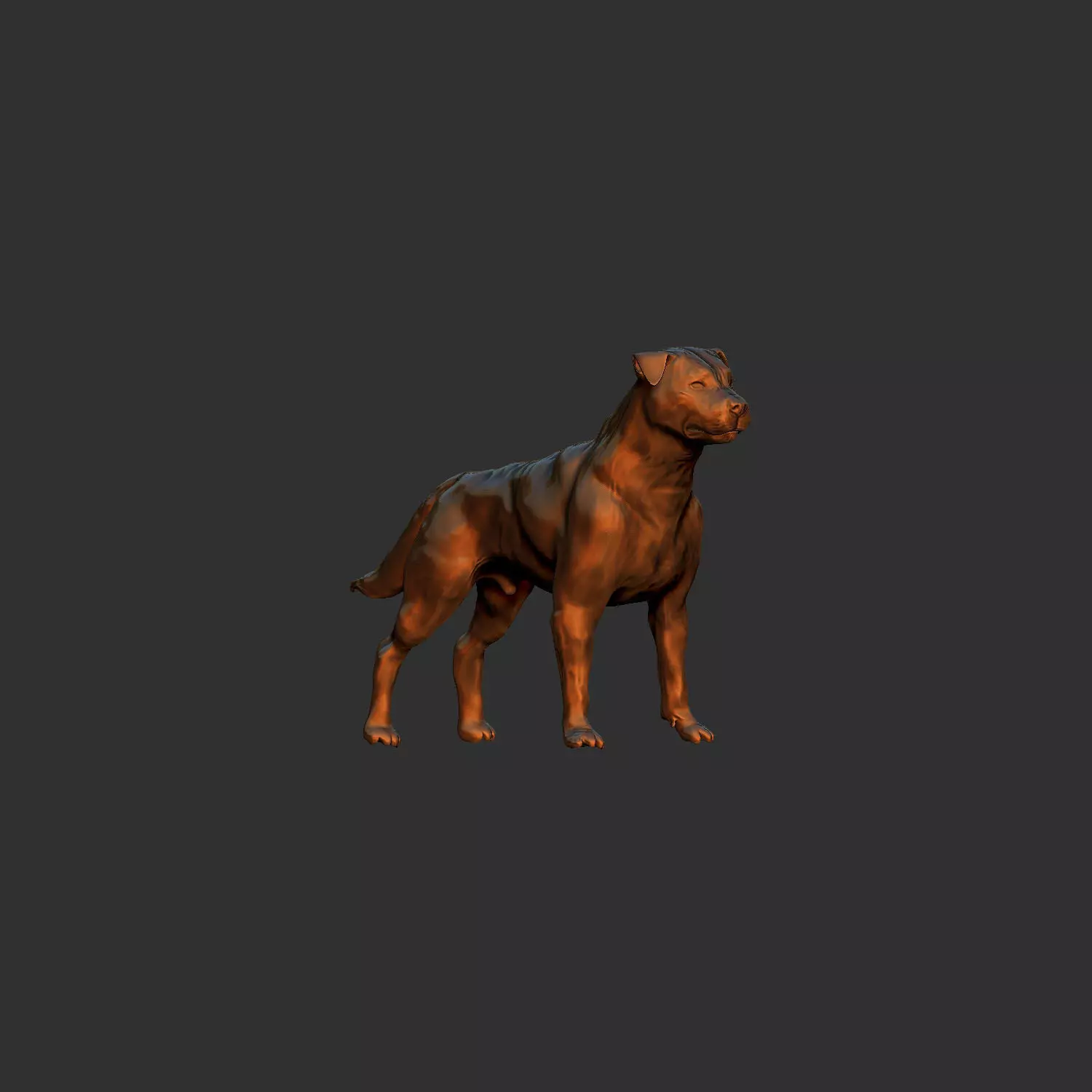 simple adult rottweiler dog model 3D print model_0