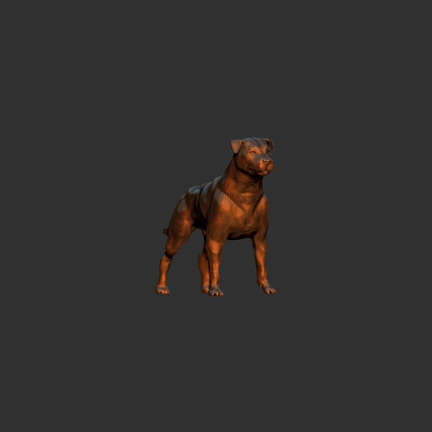 simple adult rottweiler dog model 3D print model_2