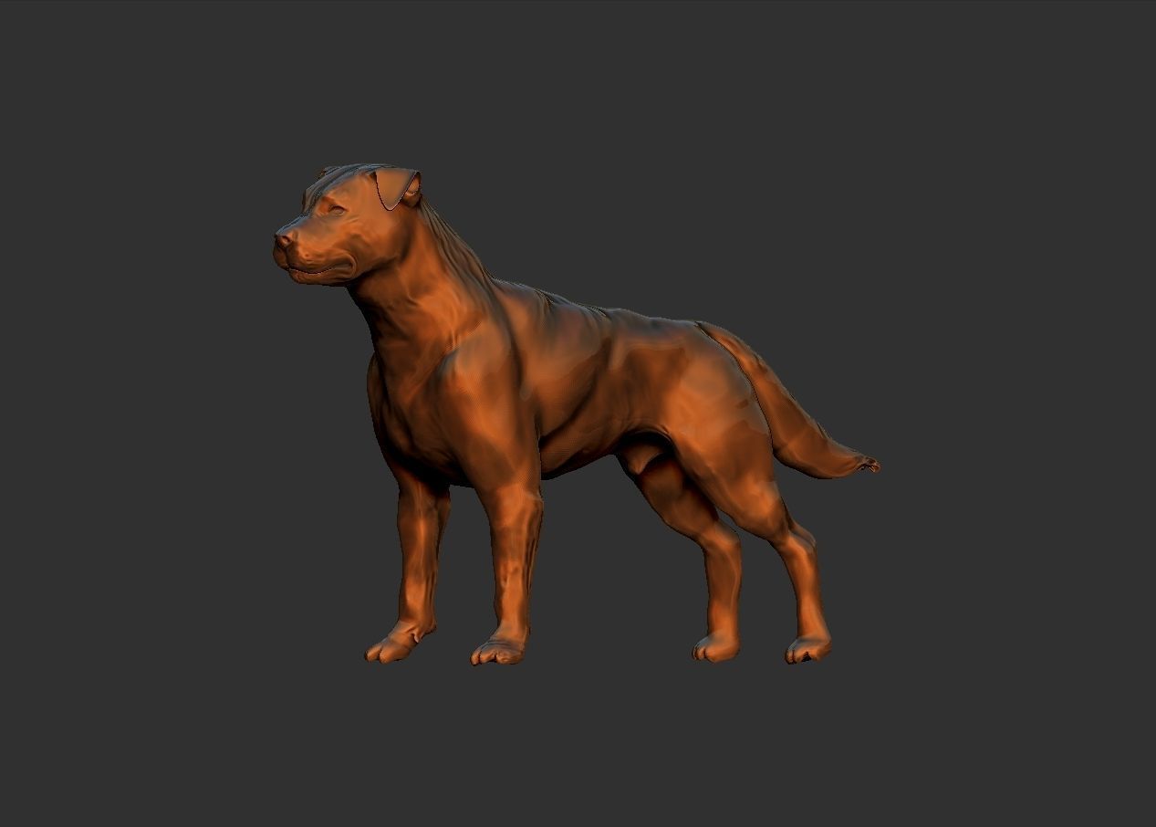 simple adult rottweiler dog model 3D print model_8