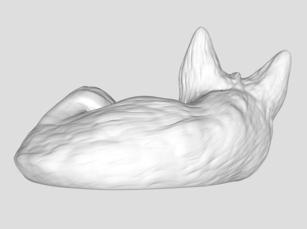 Far Away Galaxy Cat 3D print model_1