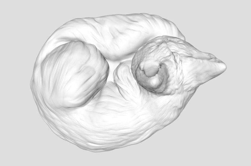 Far Away Galaxy Cat 3D print model_2