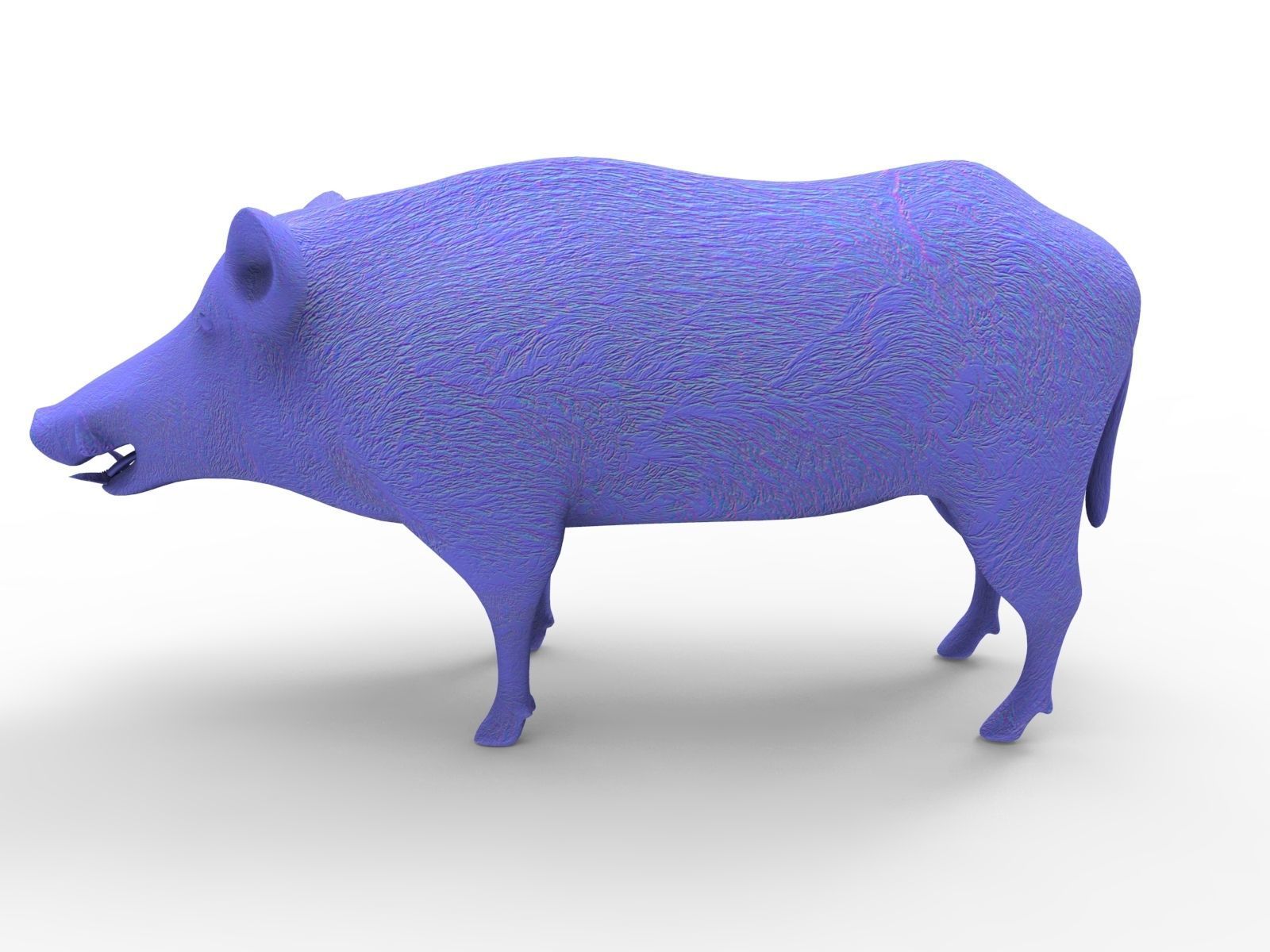 3D Wild Boar Rigged and Animated  Low-poly 3D model_20