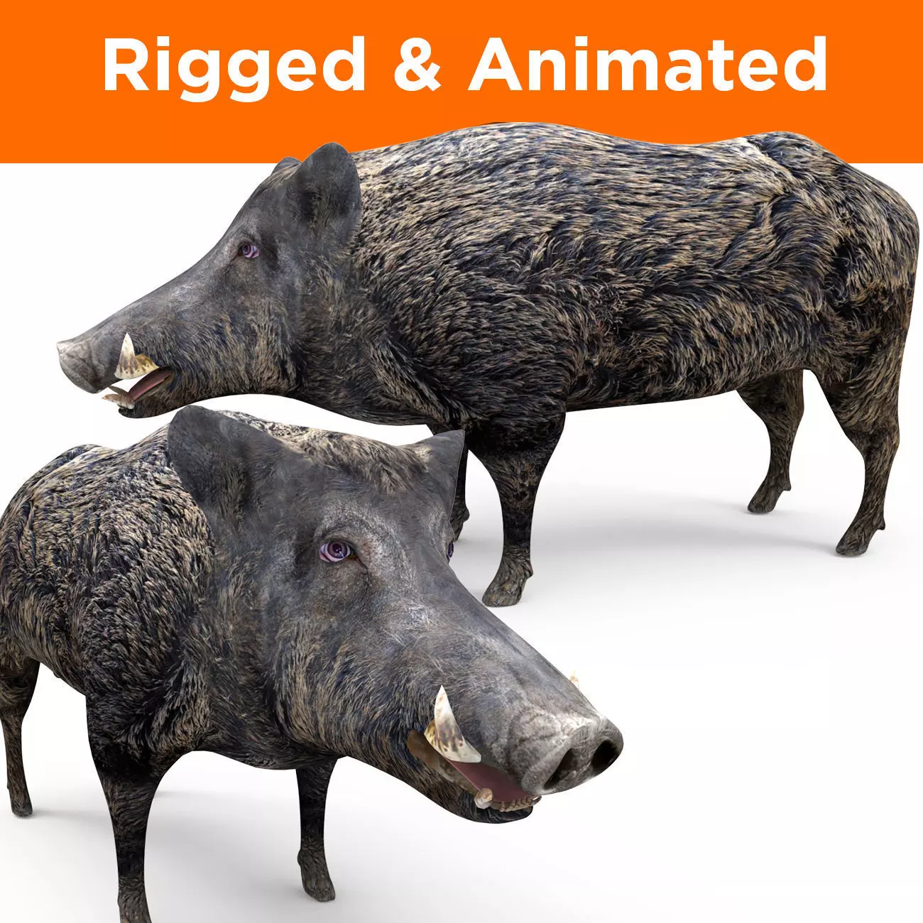 3D Wild Boar Rigged and Animated  Low-poly 3D model_0