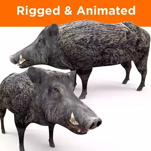3D Wild Boar Rigged and Animated 