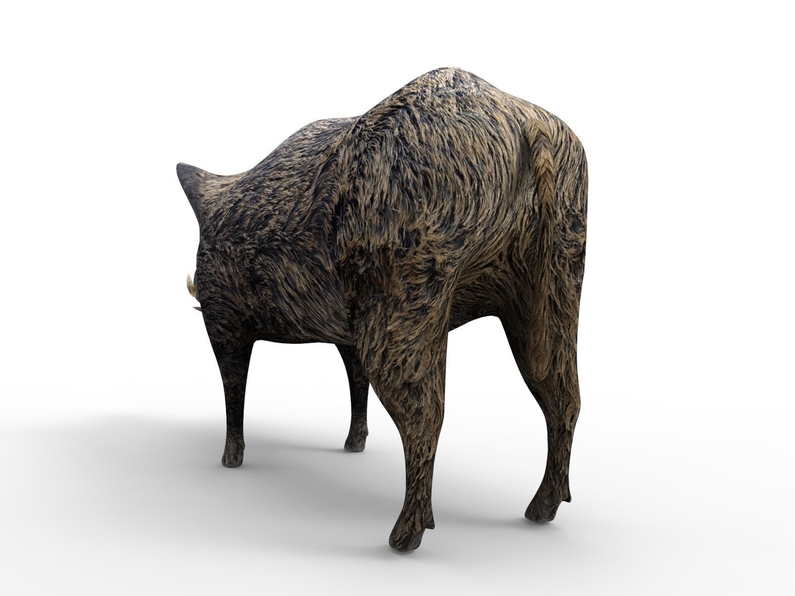 3D Wild Boar Rigged and Animated  Low-poly 3D model_8