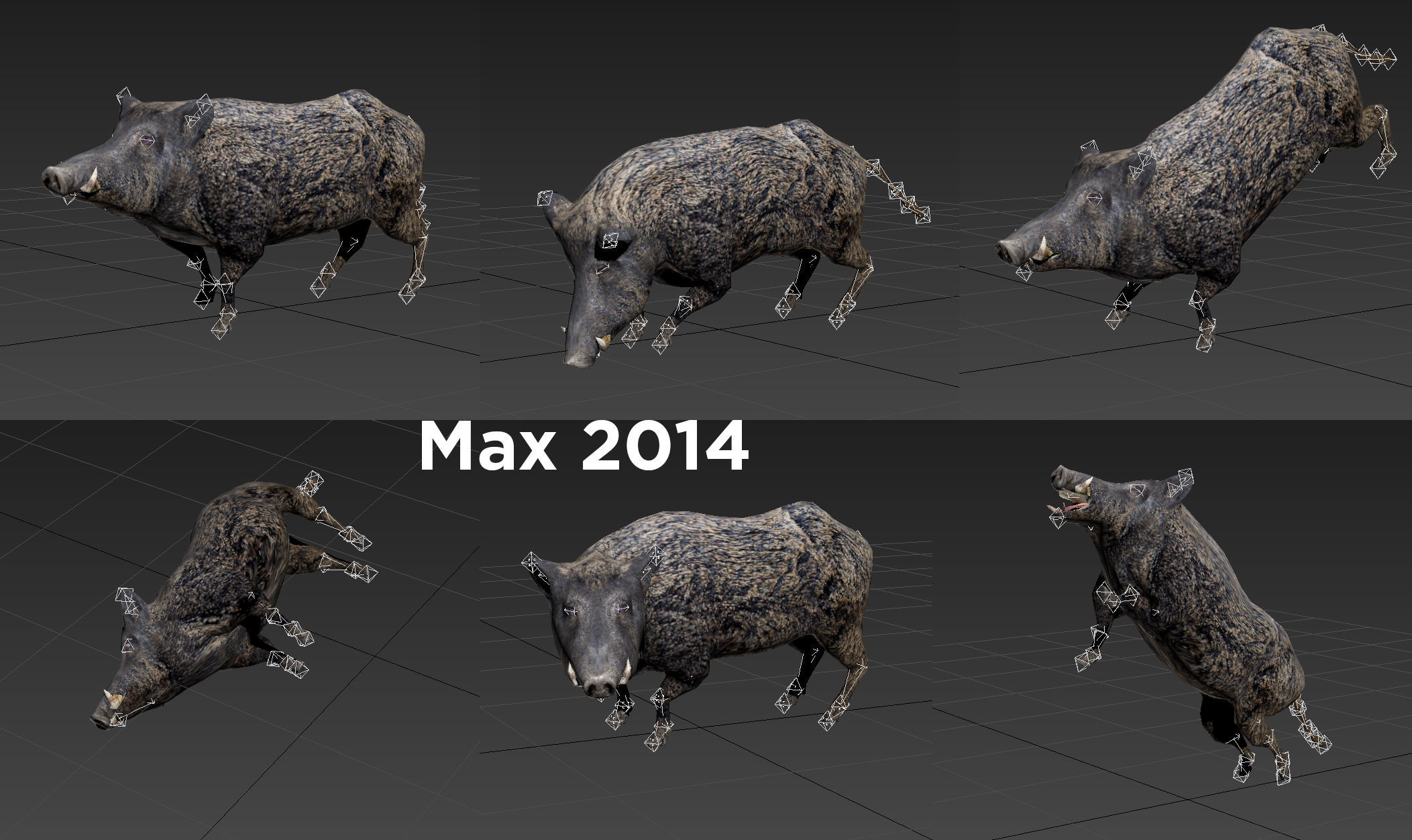 3D Wild Boar Rigged and Animated  Low-poly 3D model_16