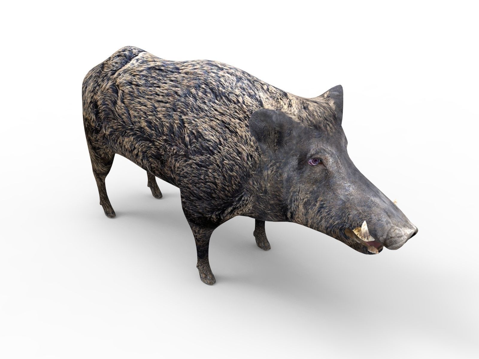 3D Wild Boar Rigged and Animated  Low-poly 3D model_11
