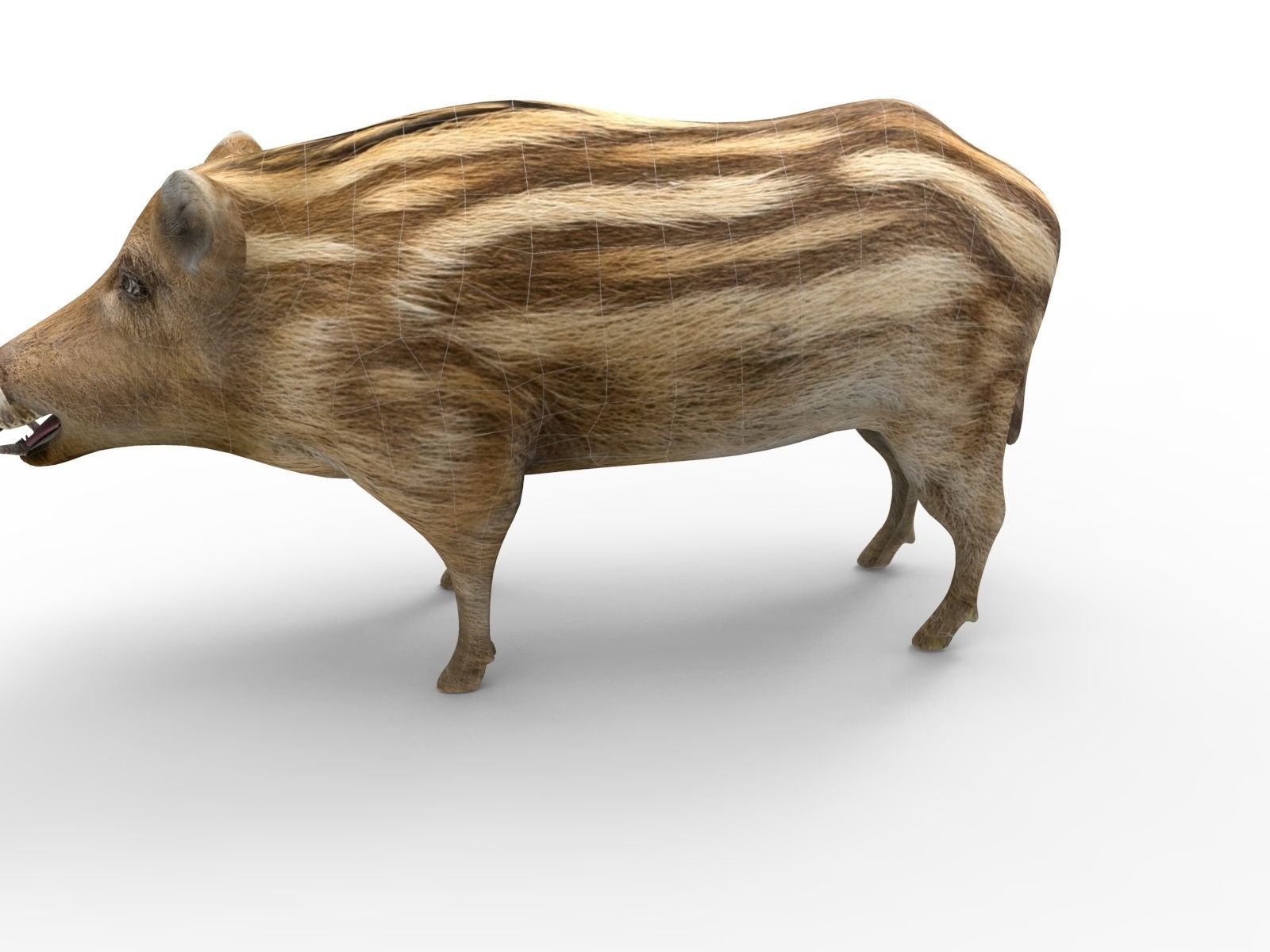 3d Boar Rigged and Animated model Low-poly 3D model_13