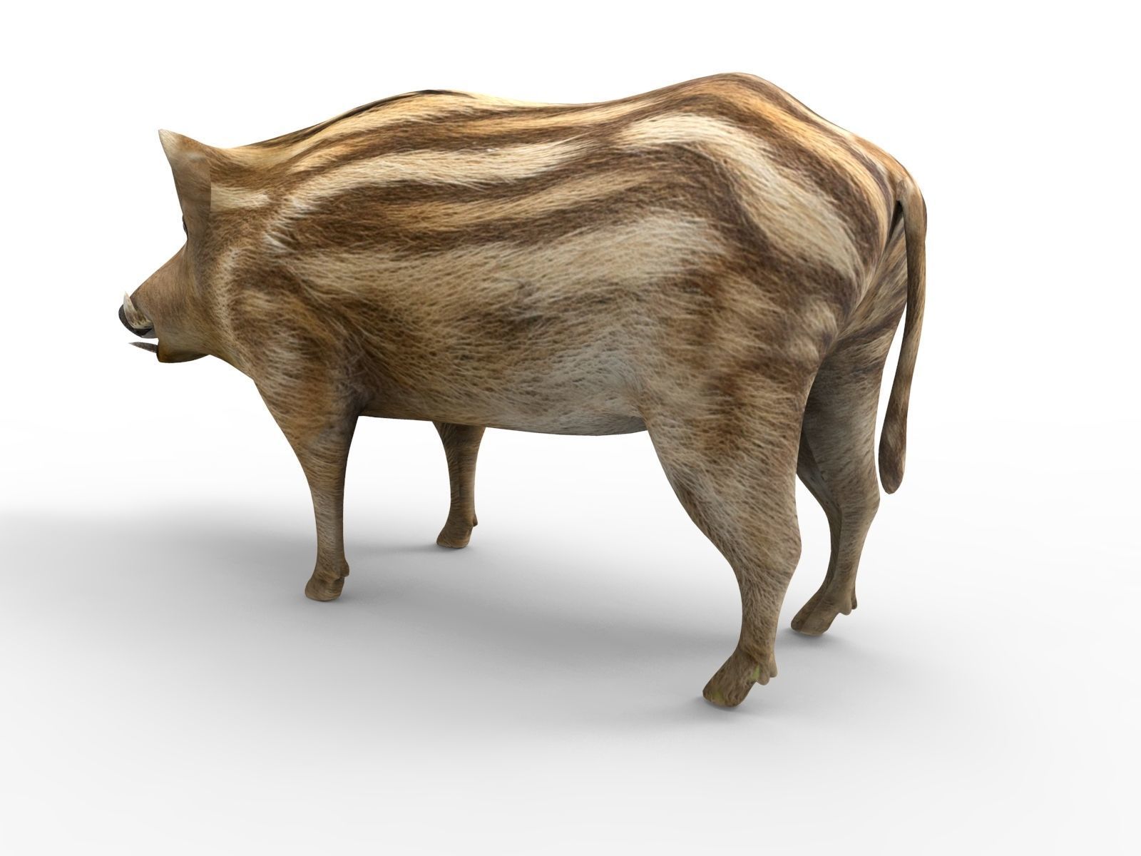 3d Boar Rigged and Animated model Low-poly 3D model_10