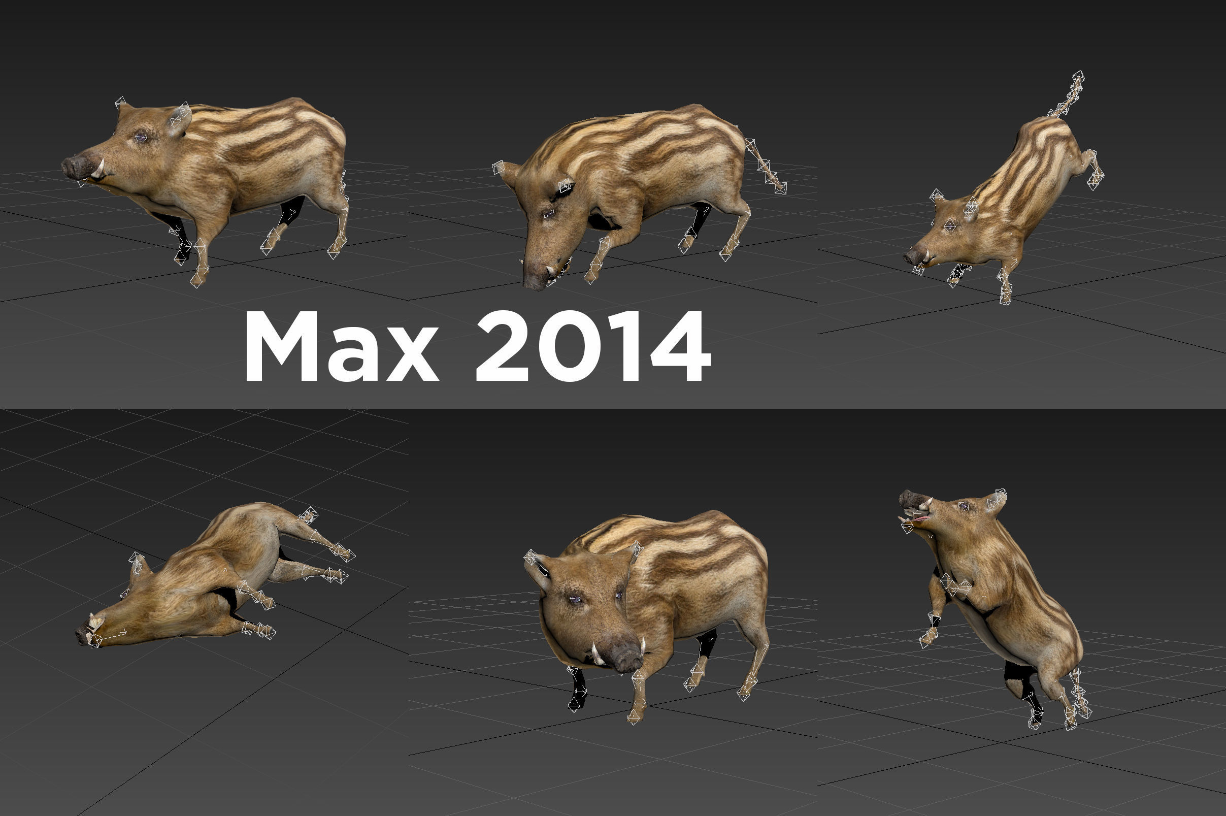 3d Boar Rigged and Animated model Low-poly 3D model_25