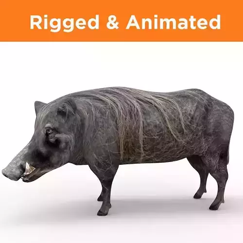 3d Wild Boar Rigged and Animated low poly