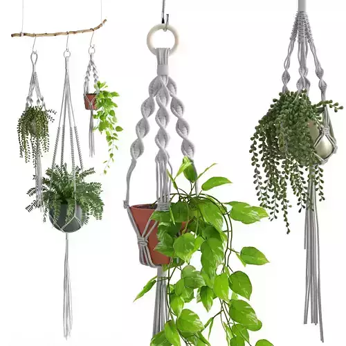 Houseplant 51 3D model