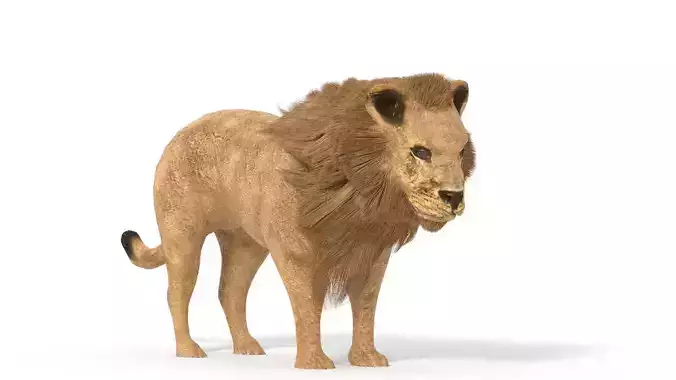lion lowpoly