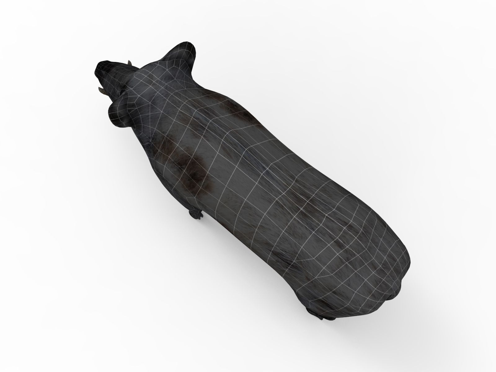 White Wild Boar Rigged and Animated 3D Model Low-poly 3D model_23