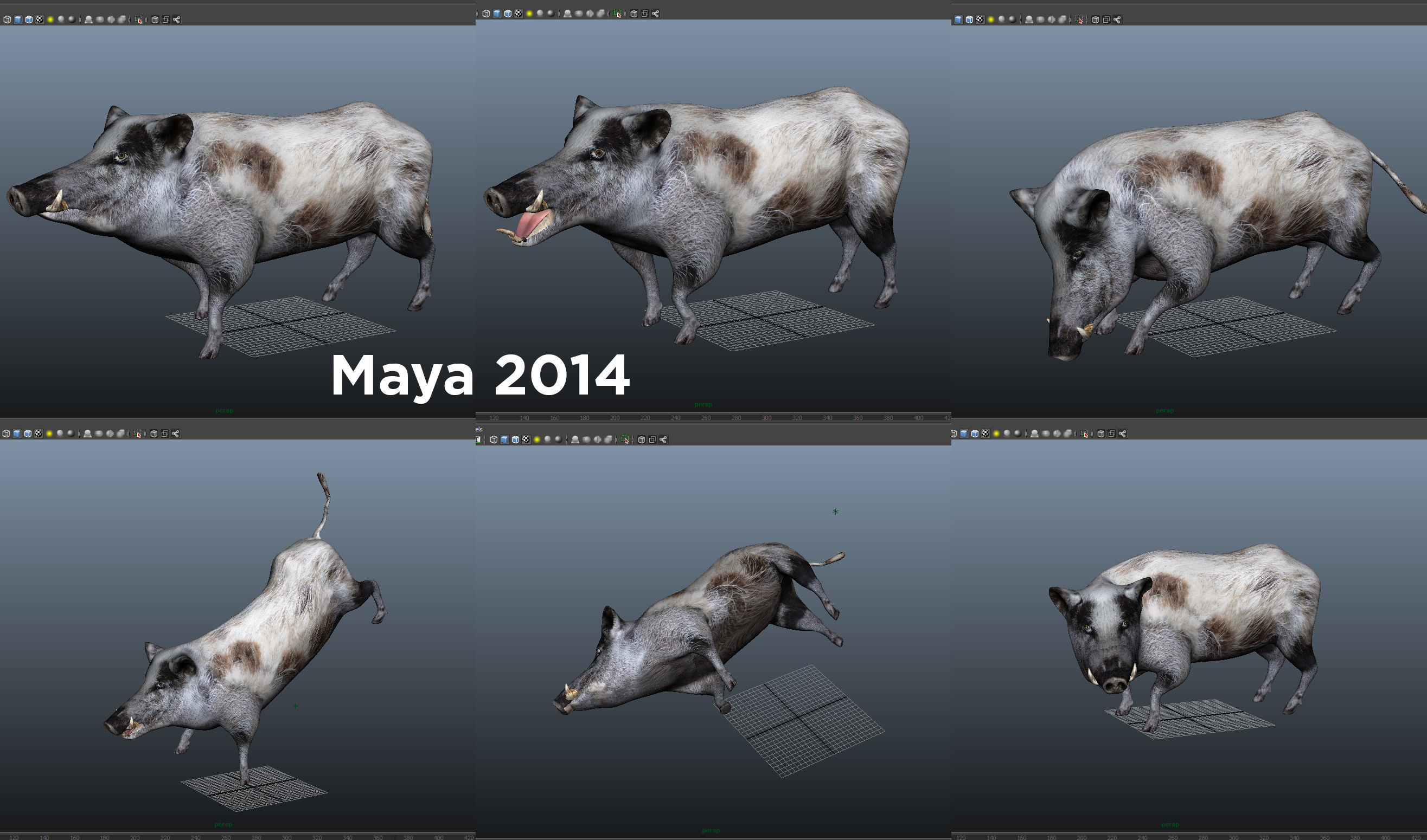 White Wild Boar Rigged and Animated 3D Model Low-poly 3D model_20