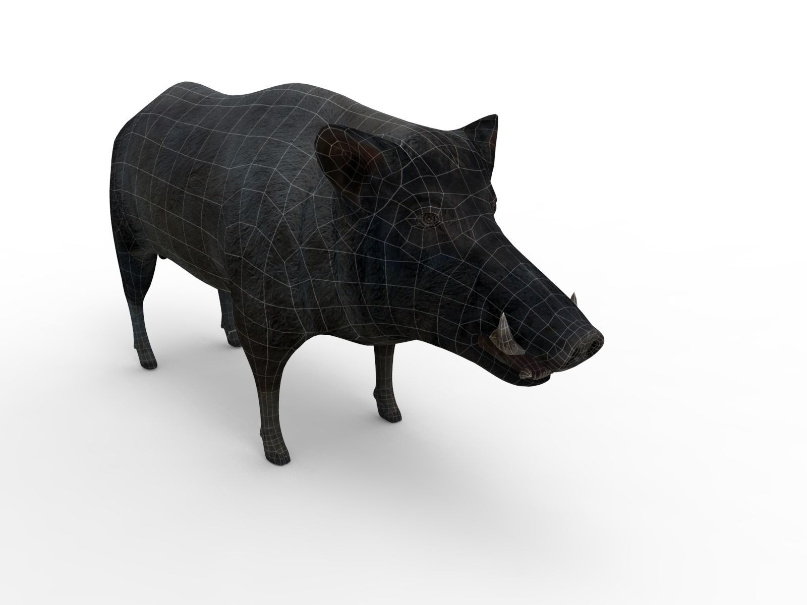 Wild Boar Rigged and Animated 3D Models Low-poly 3D model_20