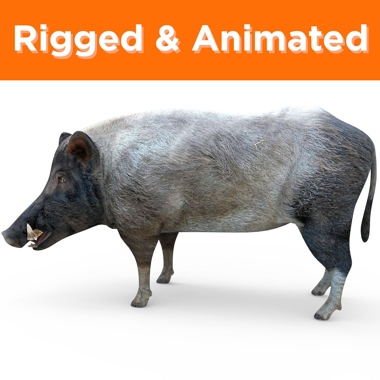 Wild Boar Rigged and Animated 3D Models Low-poly 3D model_2