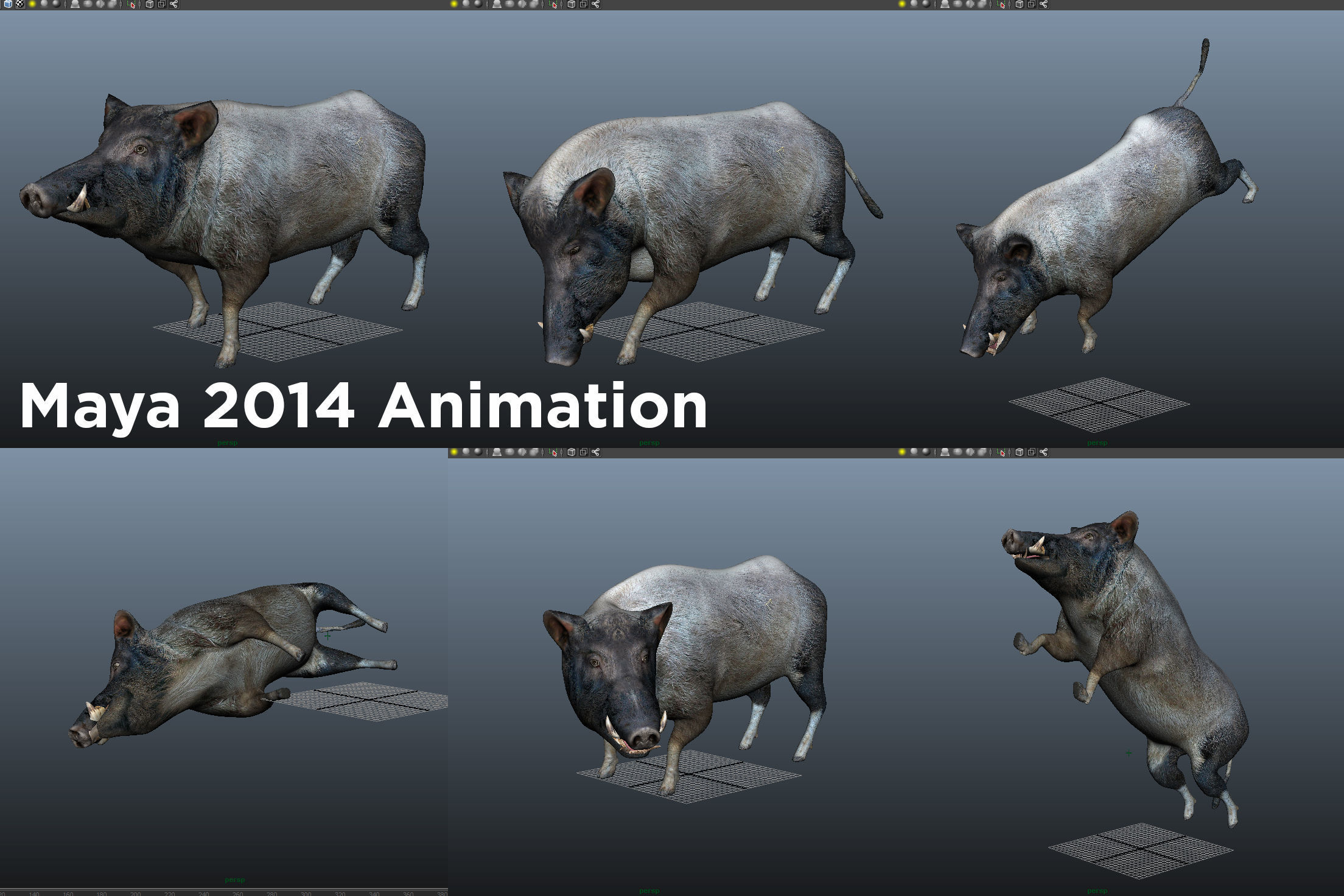 Wild Boar Rigged and Animated 3D Models Low-poly 3D model_14