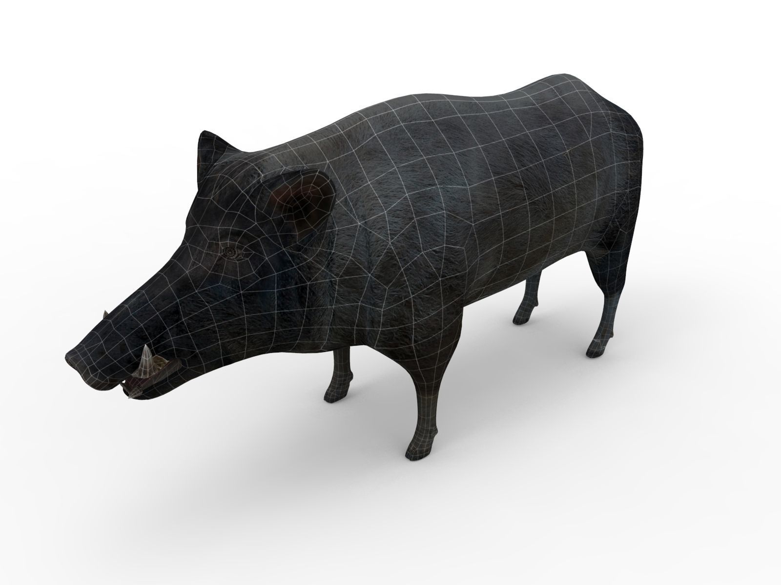 Wild Boar Rigged and Animated 3D Models Low-poly 3D model_18