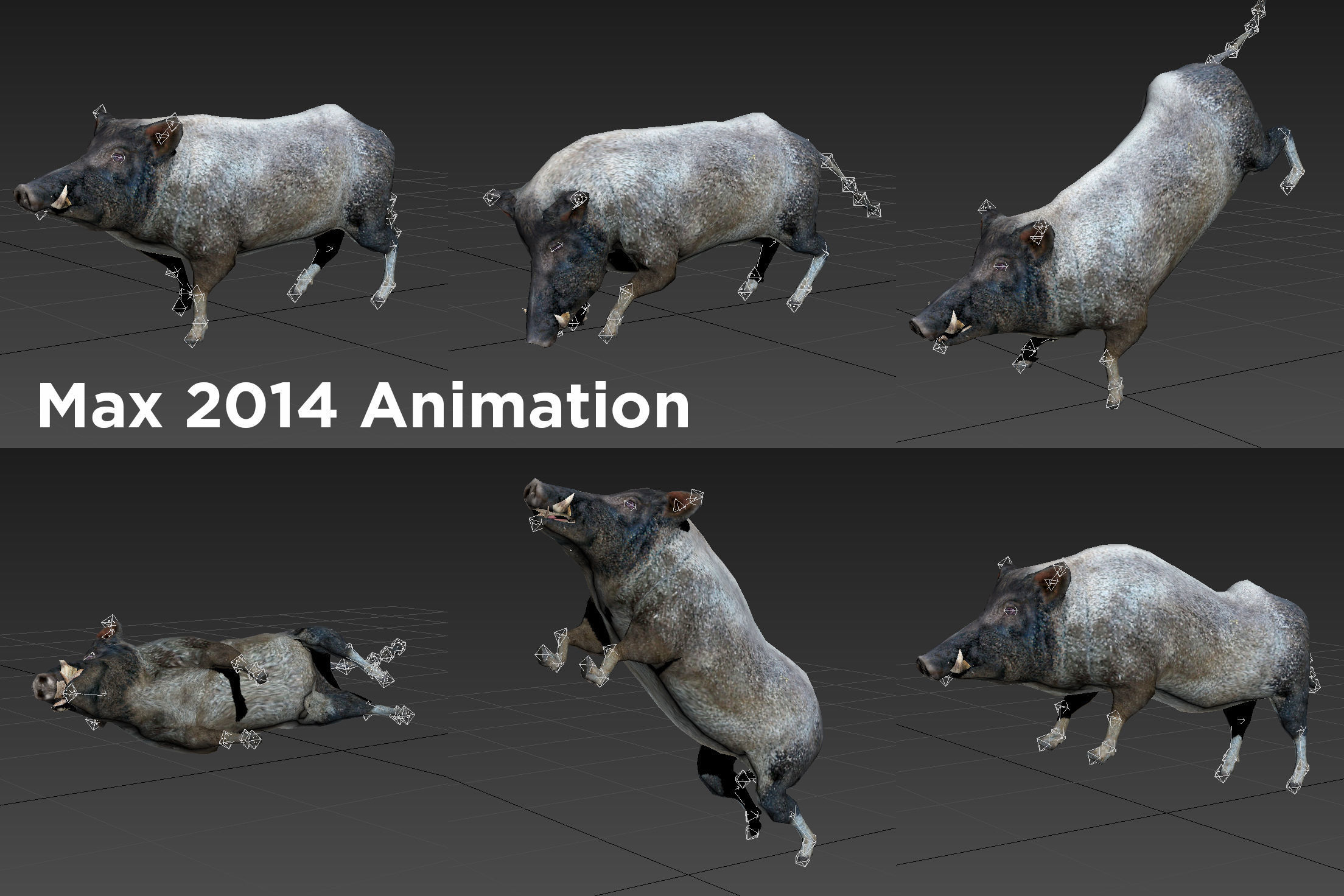 Wild Boar Rigged and Animated 3D Models Low-poly 3D model_13