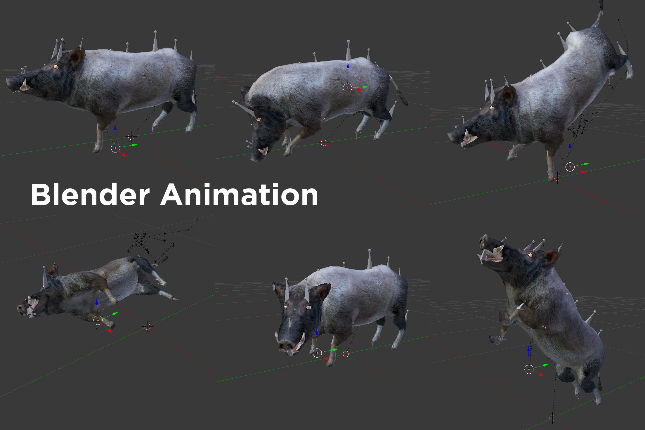 Wild Boar Rigged and Animated 3D Models Low-poly 3D model_15