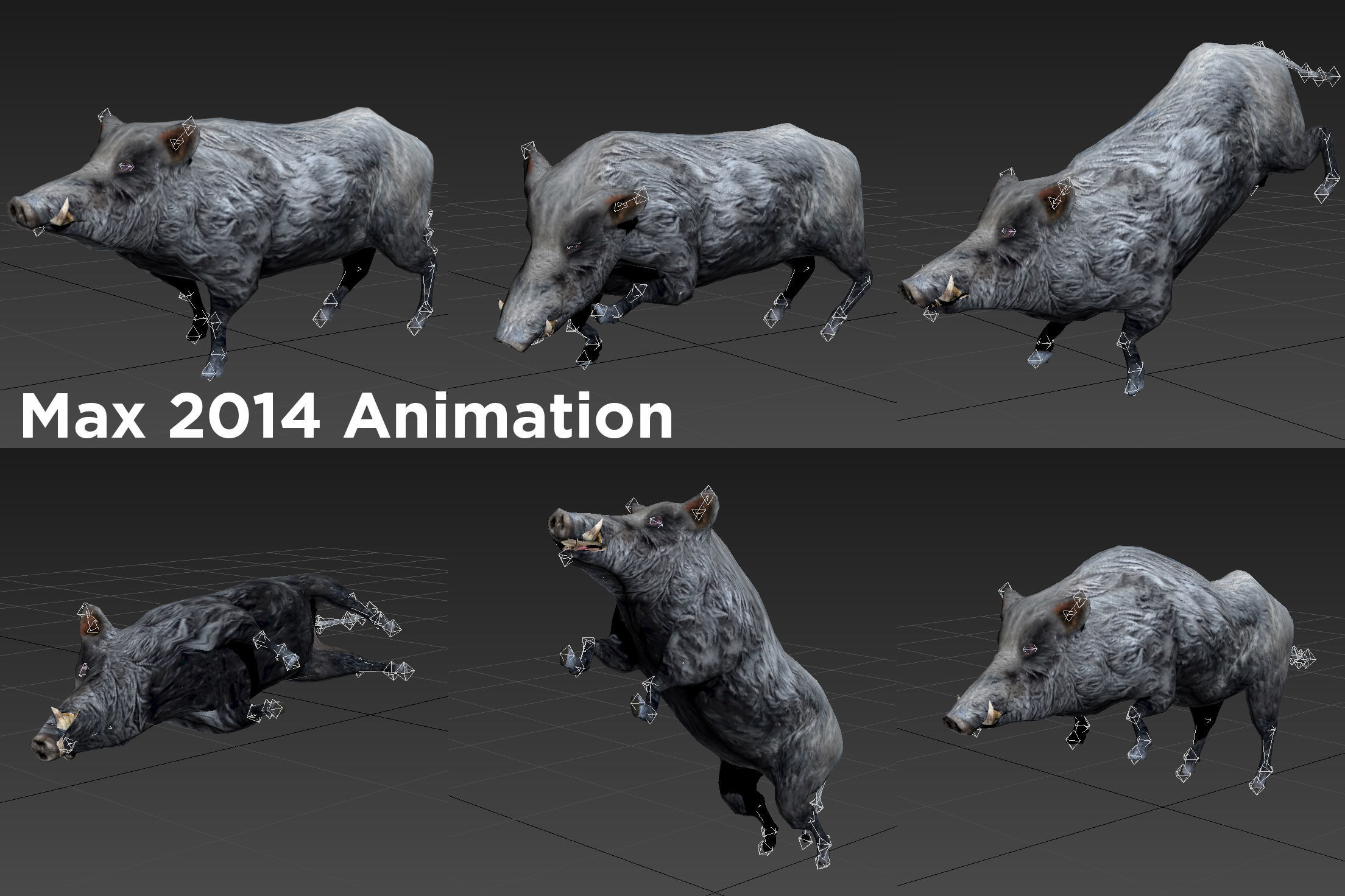 Black Wild Boar Rigged and Animated 3D Models Low-poly 3D model_15