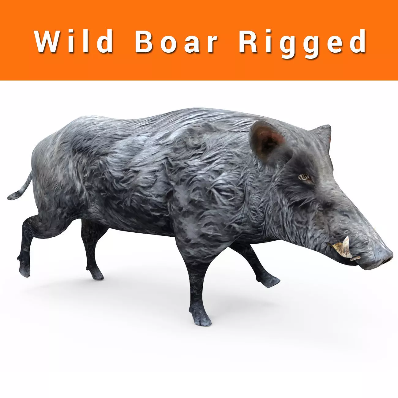 Black Wild Boar Rigged and Animated 3D Models Low-poly 3D model_0