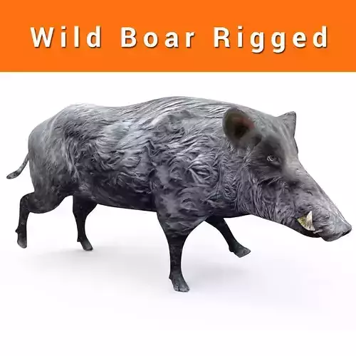 Black Wild Boar Rigged and Animated 3D Models
