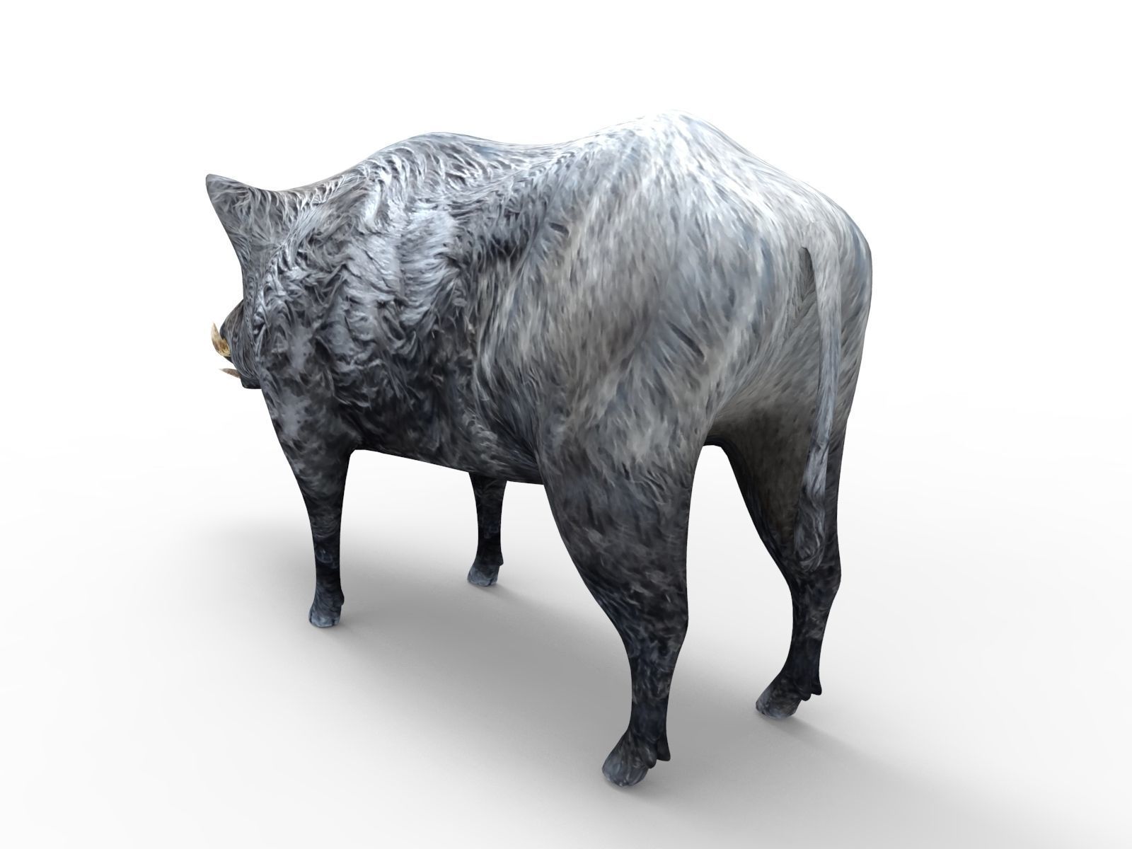 Black Wild Boar Rigged and Animated 3D Models Low-poly 3D model_6