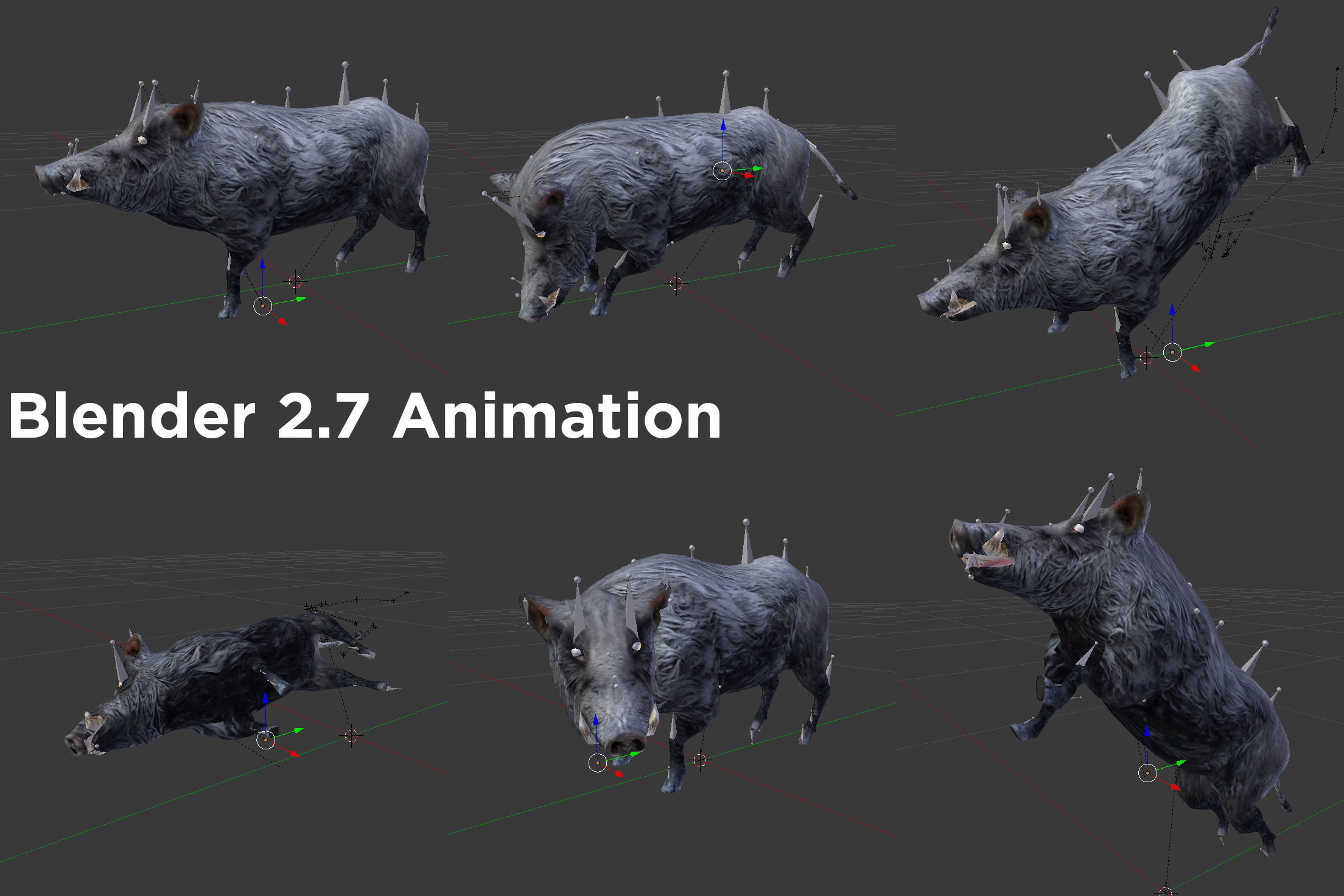 Black Wild Boar Rigged and Animated 3D Models Low-poly 3D model_13