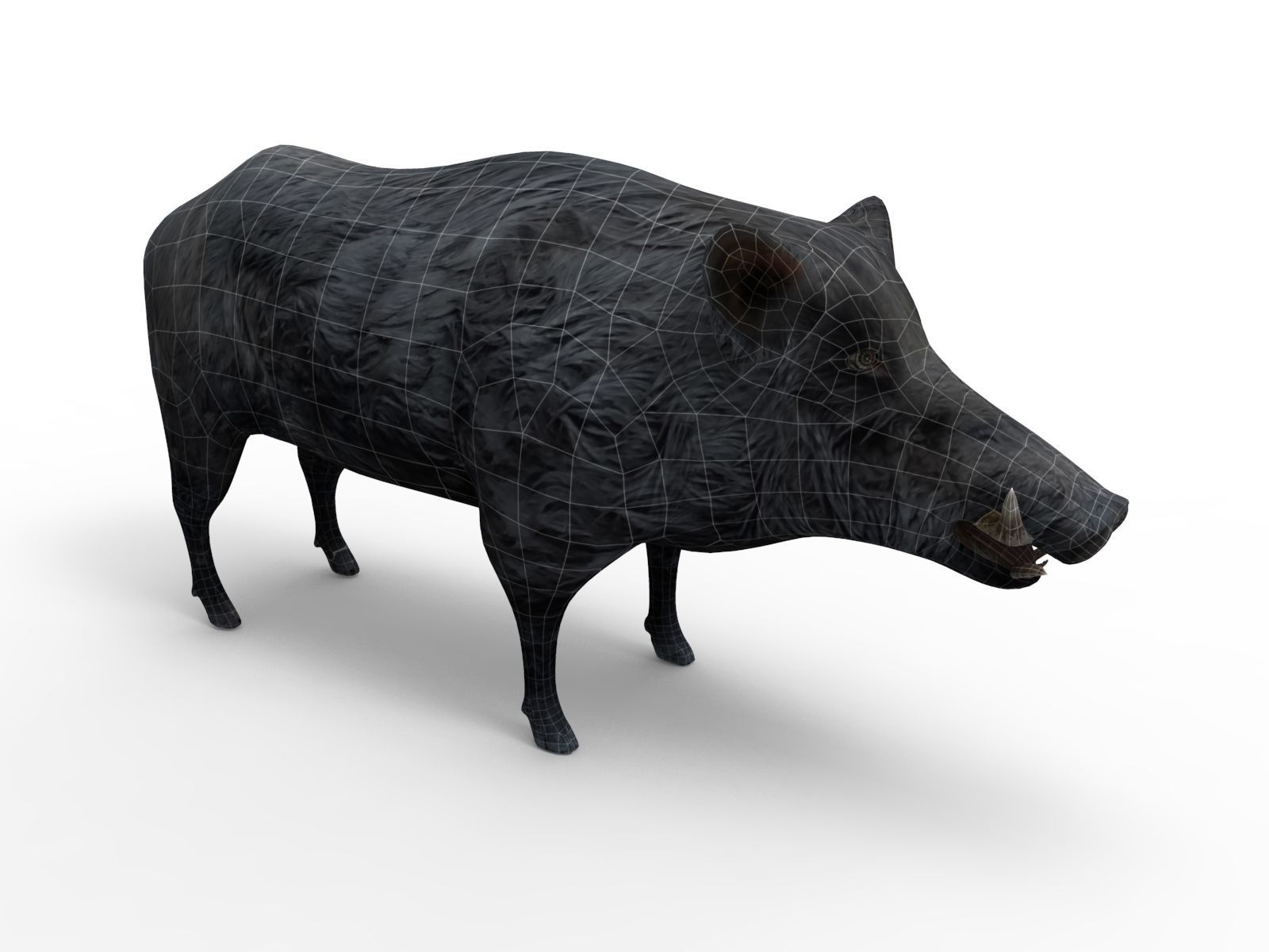 Black Wild Boar Rigged and Animated 3D Models Low-poly 3D model_18