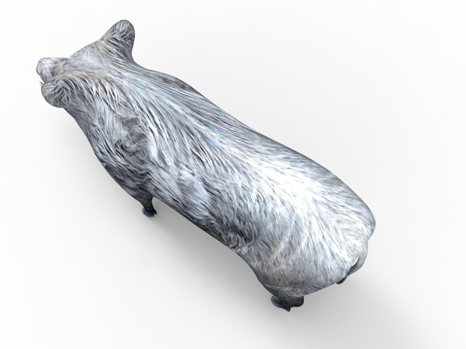 Black Wild Boar Rigged and Animated 3D Models Low-poly 3D model_8