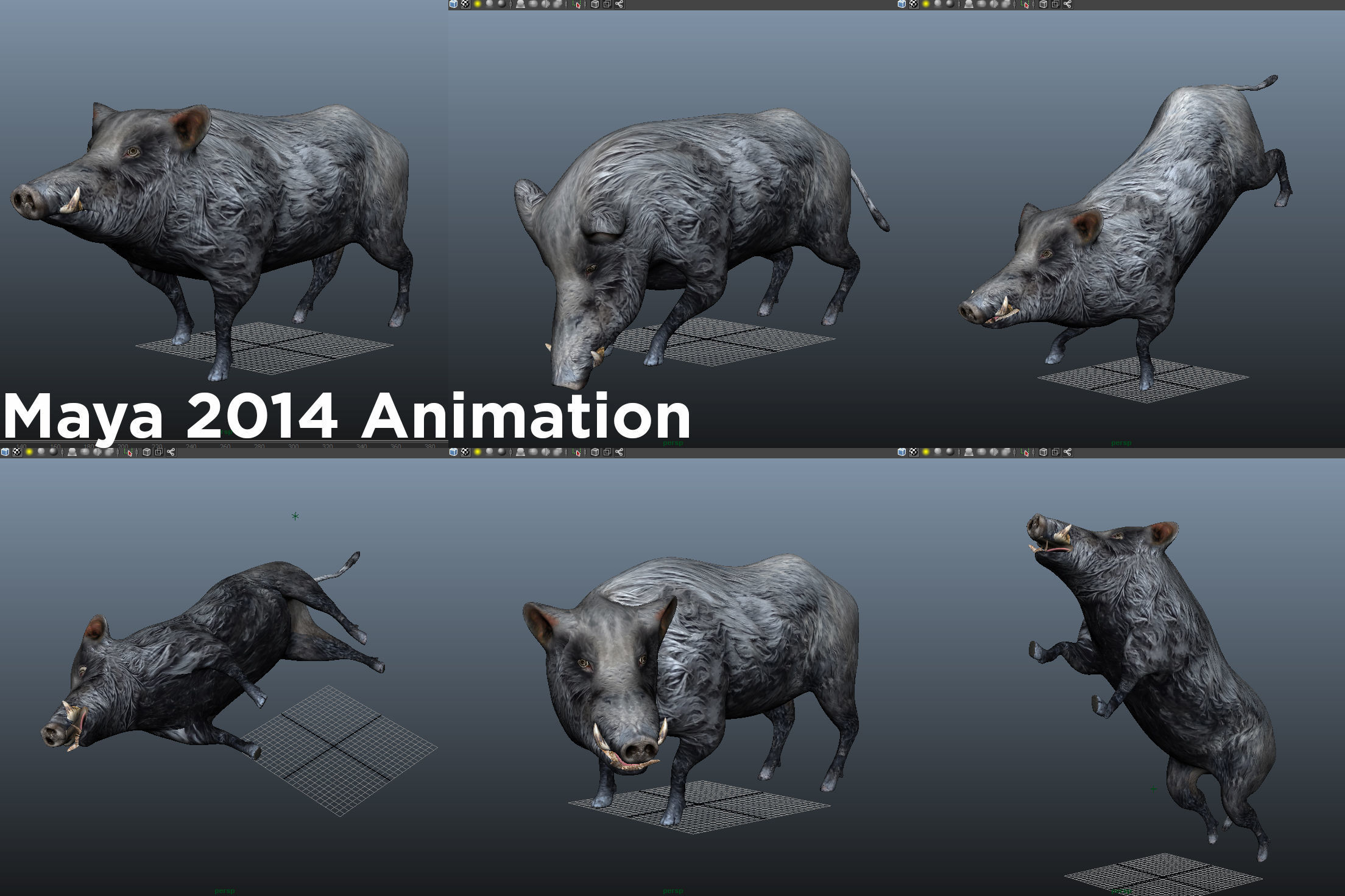 Black Wild Boar Rigged and Animated 3D Models Low-poly 3D model_14