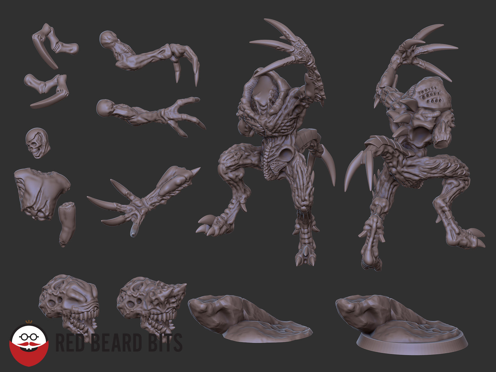 Xenoteras Leader of the Brood 3D print model_1