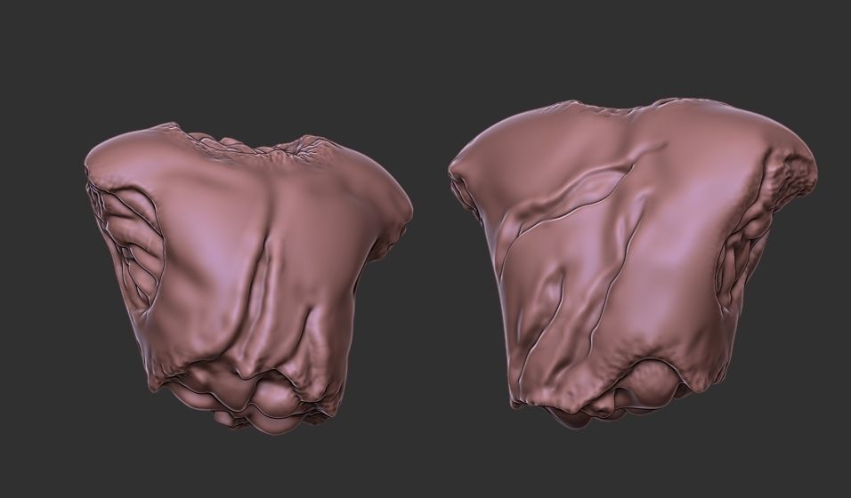 Xenoteras Leader of the Brood 3D print model_7