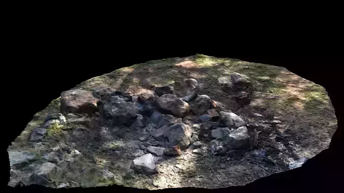 3D Campfire Photogrammetry Scan model 3D model