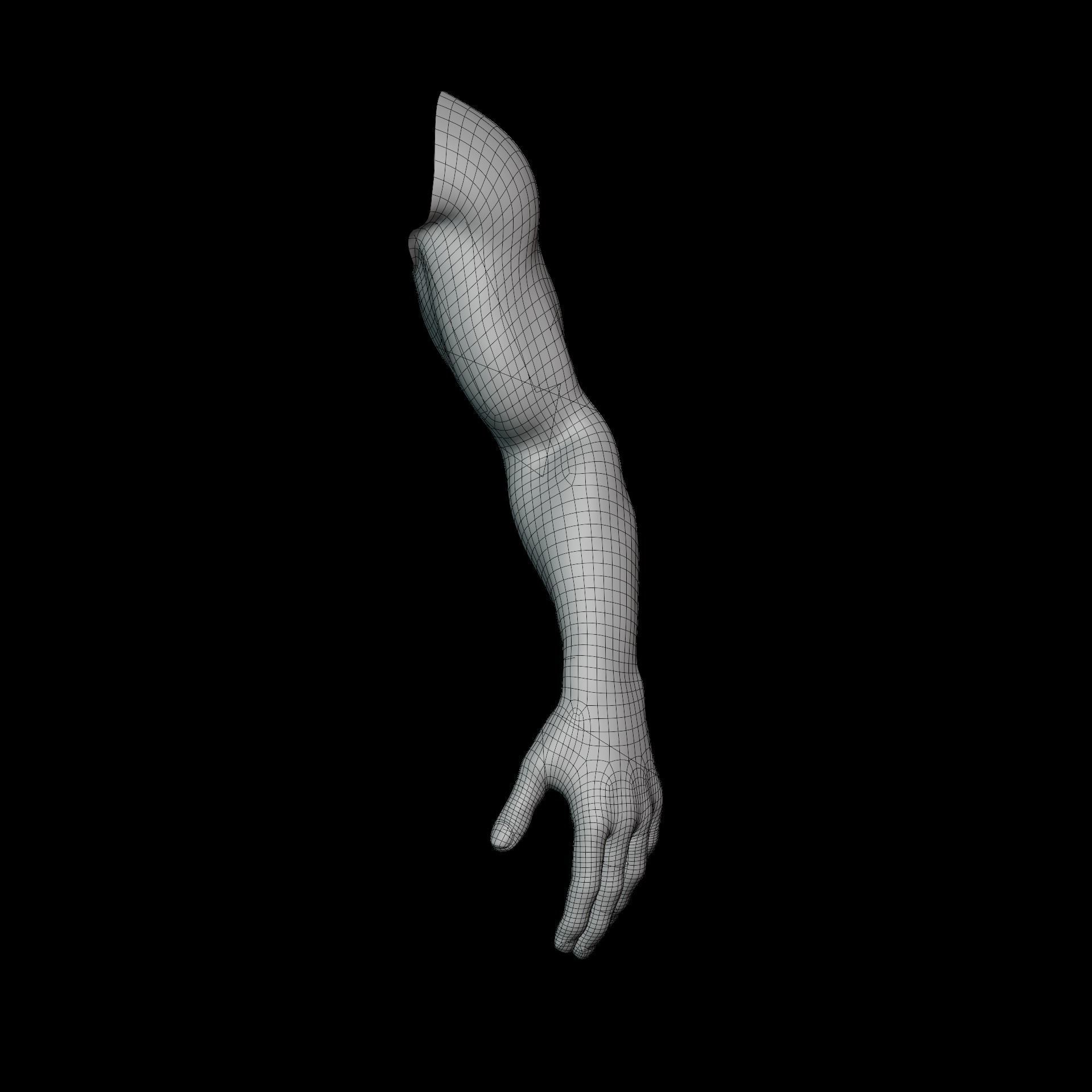 hand anatomy man 3D model_16