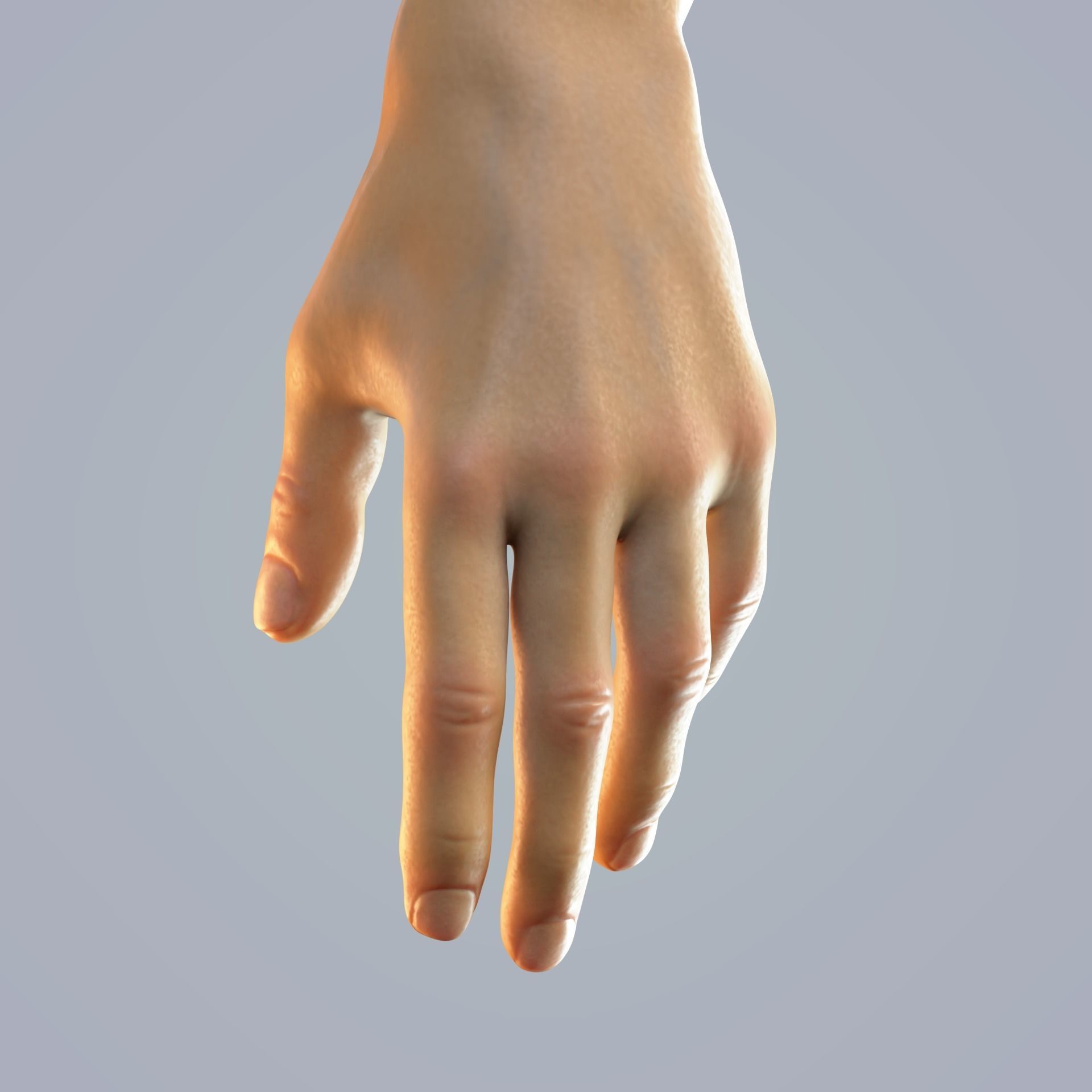 hand anatomy man 3D model_12