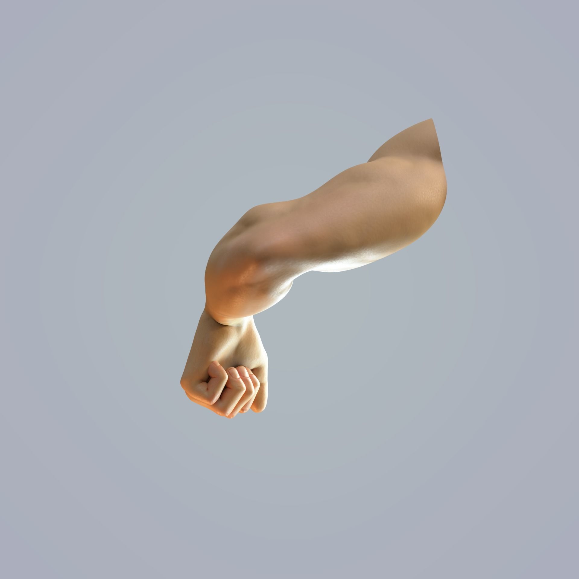 hand anatomy man 3D model_7