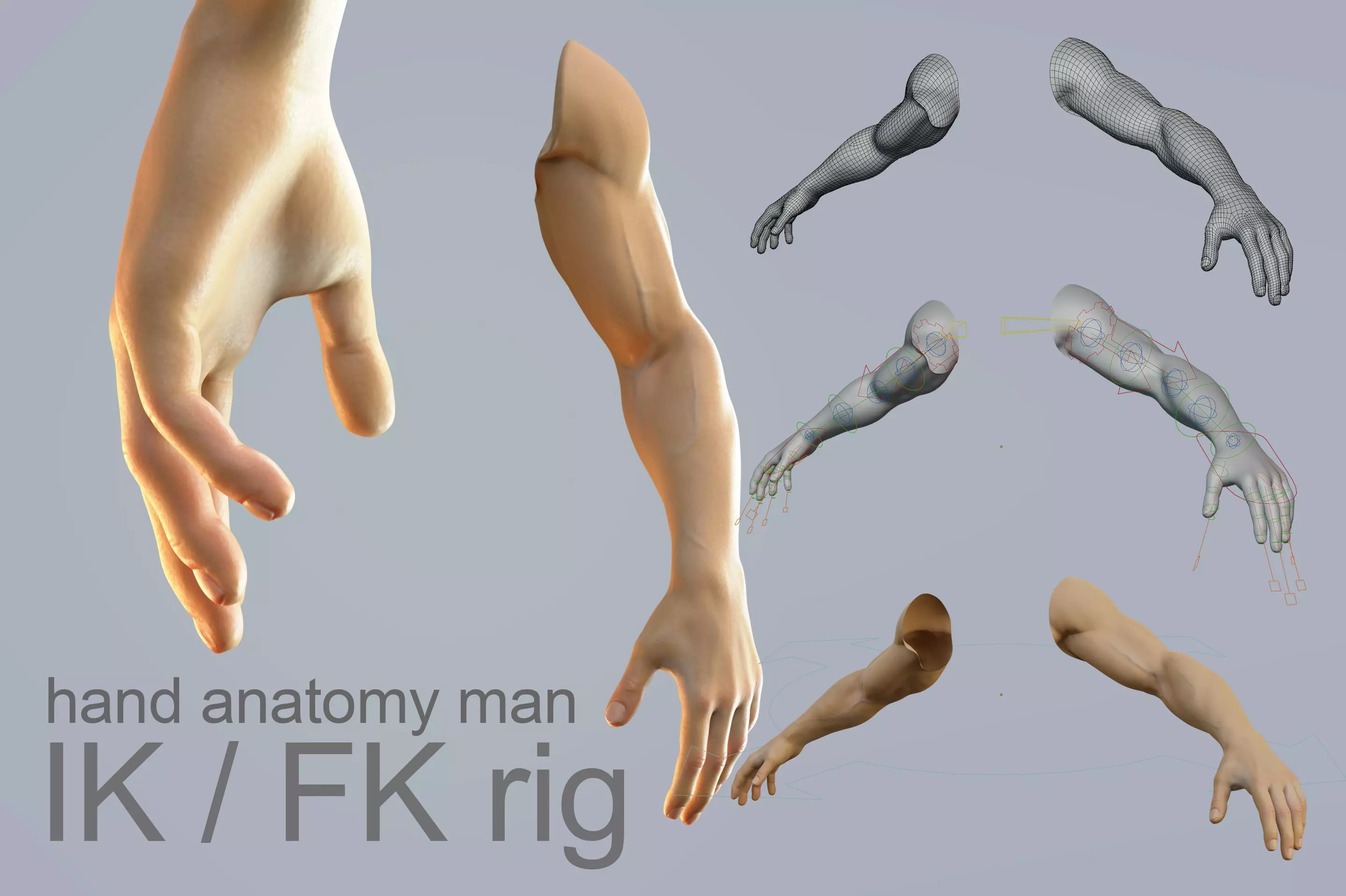 hand anatomy man 3D model_0
