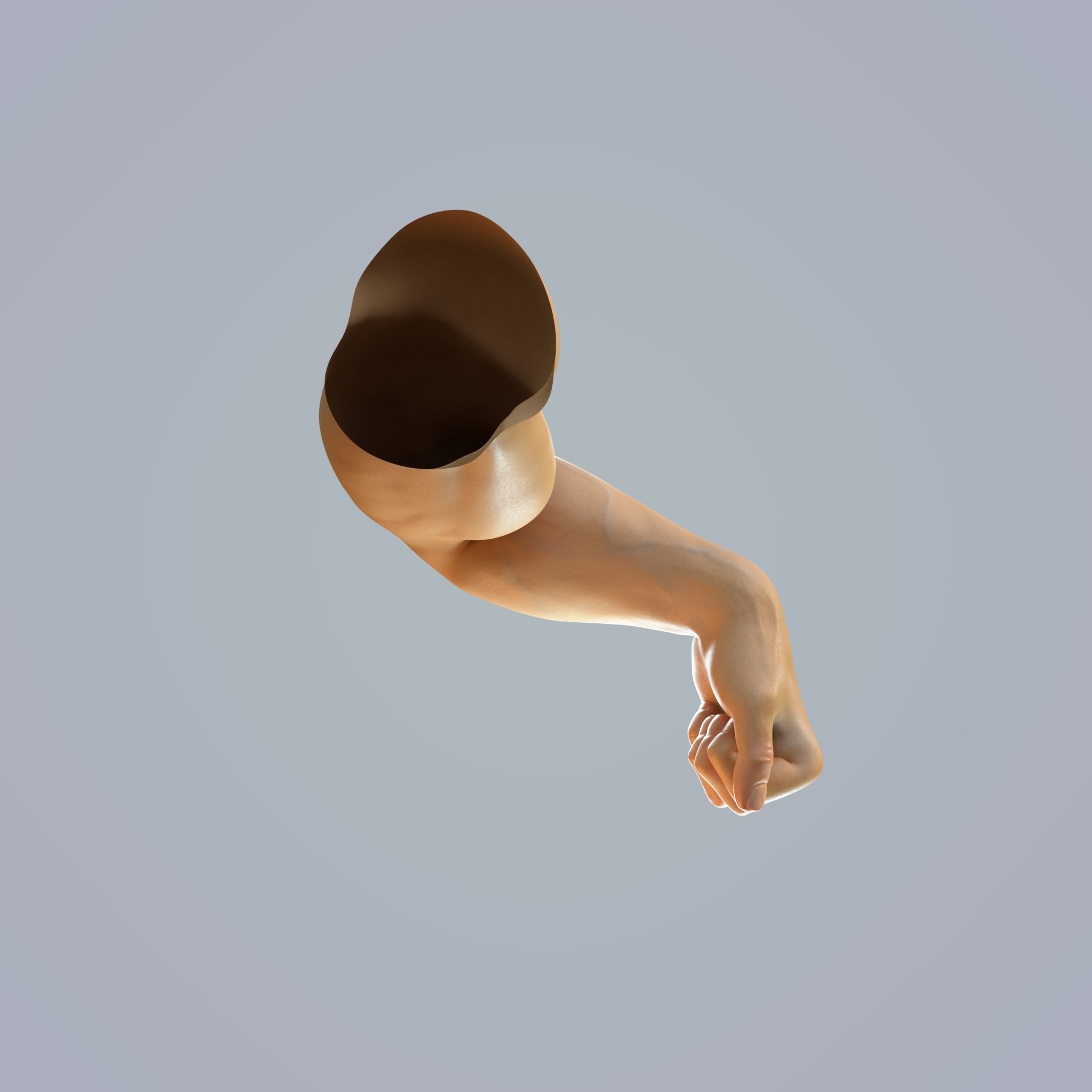 hand anatomy man 3D model_6