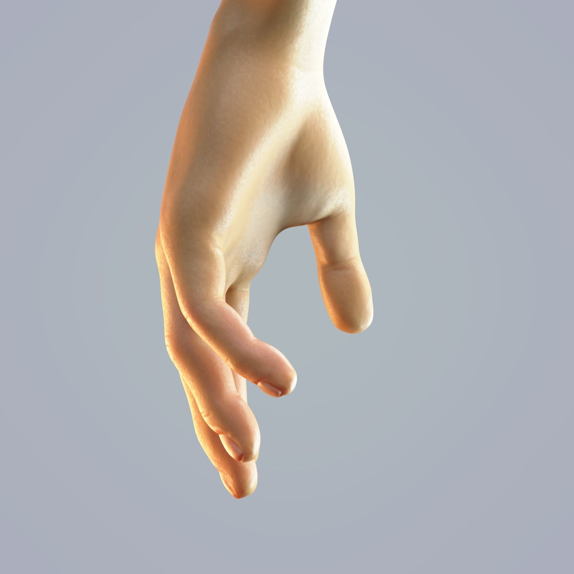 hand anatomy man 3D model_4