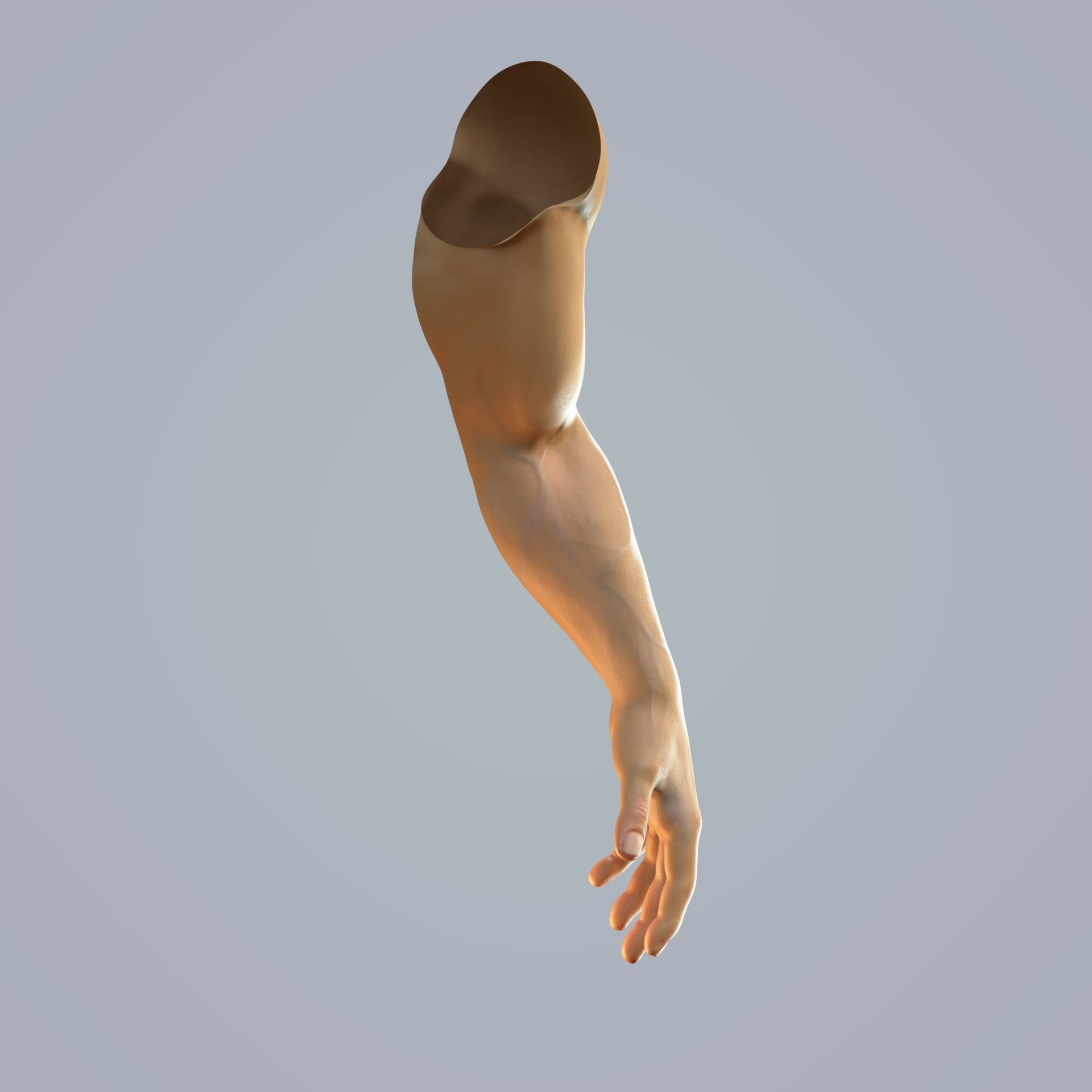 hand anatomy man 3D model_3