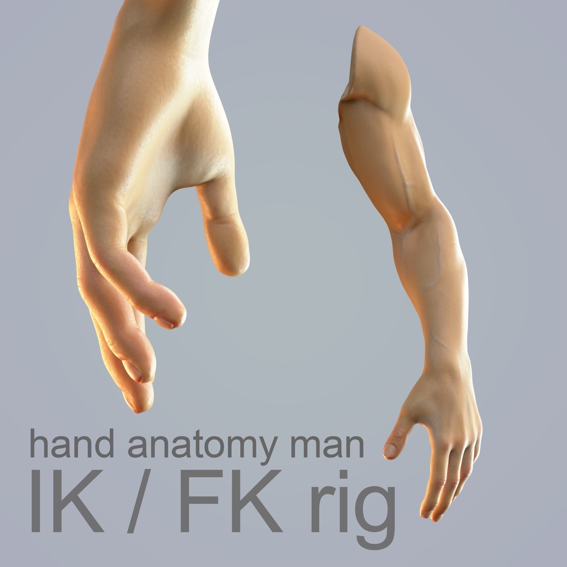 hand anatomy man 3D model_2